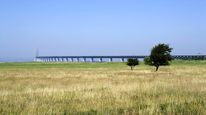 The Öresund Bridge