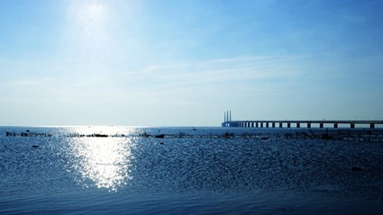 The Öresund Bridge