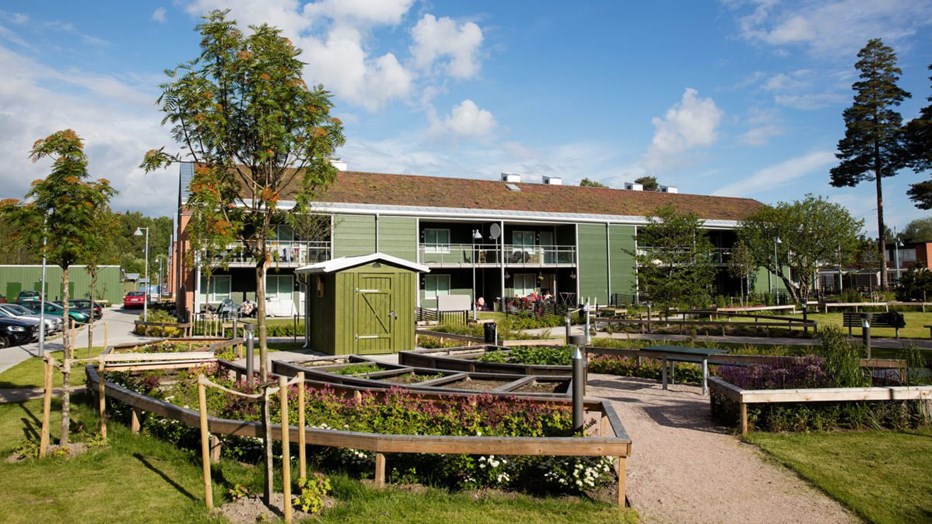 We gave the houses in My Green Quarter new roofs with sedum coating.
